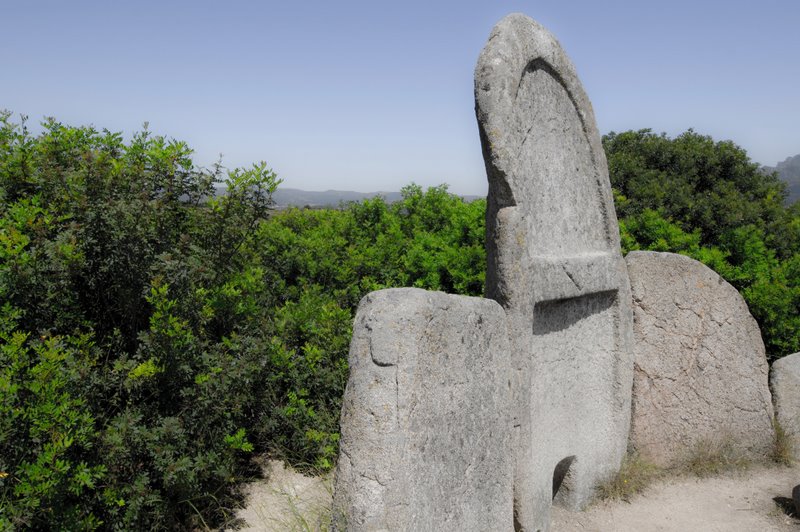 calagonone_2008_SAR1198